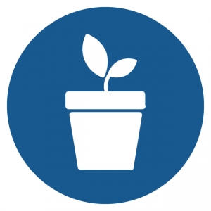 plant growing from a pot icon